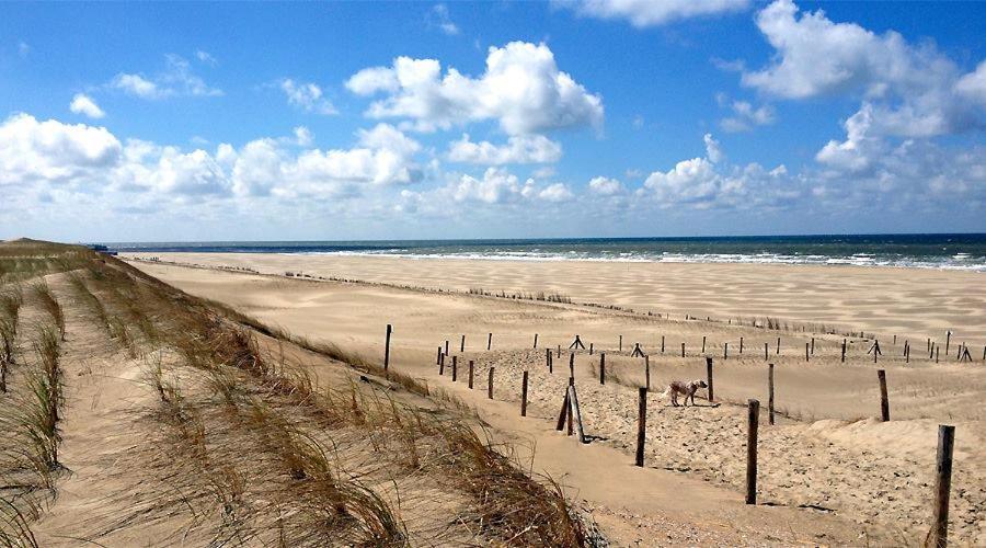 Beach Chalet Tranquilo Petten Exteriör bild